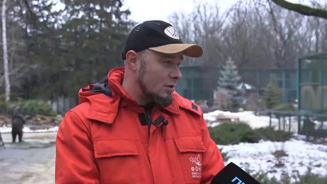 Маленький мунтжак в Фельдман Экопарк смотреть онлайн