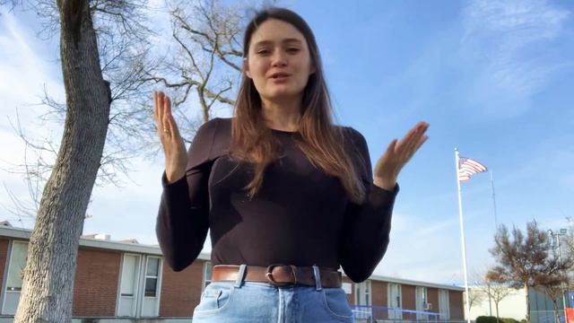 Можно ли зарабатывать в Интернете и жить в США? Отзывы, разоблачение Проект Платформа смотреть онлайн