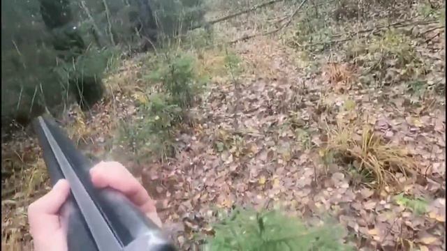 охота смотреть онлайн