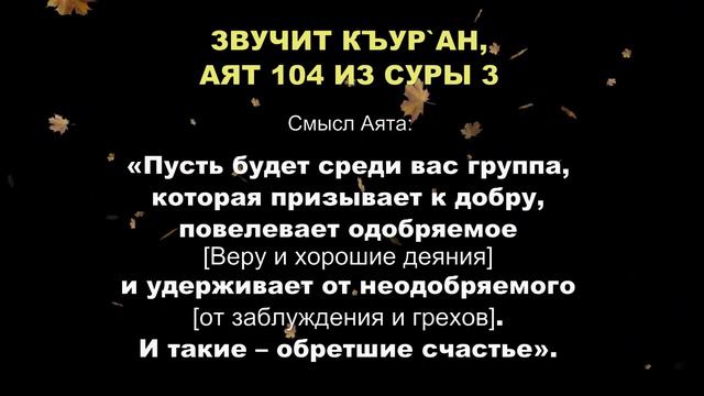 Аят побуждающий к да'уату: призывать людей к соблюдению и предупреждать от вреда. Сура 3, Аят 104. смотреть онлайн