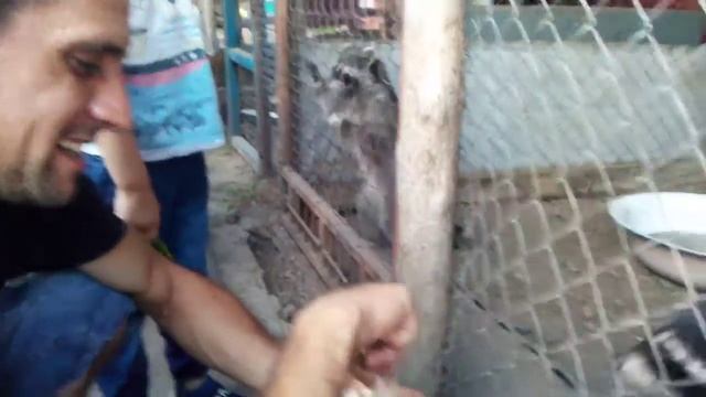 Книголюбы идут в гости к зверям смотреть онлайн