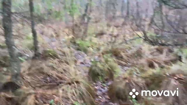 Д. Руссолово. Забор. Гатчинские гейзеры смотреть онлайн