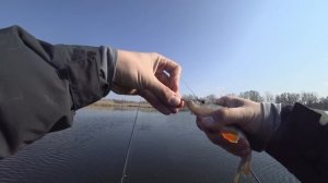 ТОП силиконовых приманок НА ОКУНЯ от Докучаева!