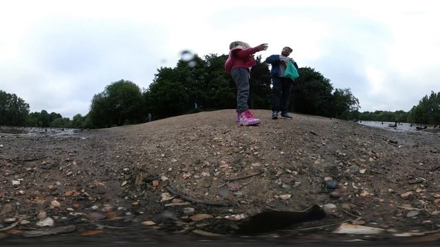 Feeding the Ducks in 360 смотреть онлайн