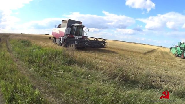 Пол дня на ХТЗ, а далее на МАЗе. Уборка пшеницы: СК-5 "Нива", ДОН-1500Б, Акрос-530, Палессе GS-12. смотреть онлайн