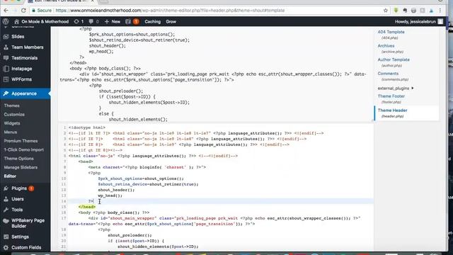 How to Add Code to Your Head Tag in Wordpress смотреть онлайн