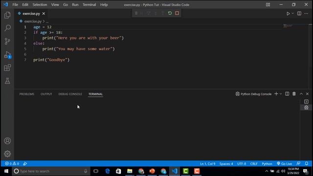 Introduction To Python: Video 8 - Conditional Execution смотреть онлайн