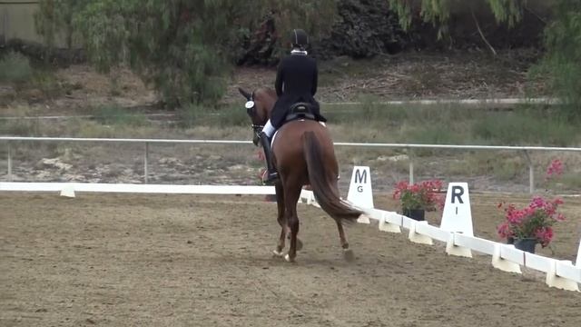 How to Analyze the Judges Comments and Ride the Prix St. George смотреть онлайн