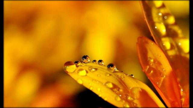 Sad music without words 3 - Drop - Anno Domini Beats / Грустная музыка без слов 3 смотреть онлайн