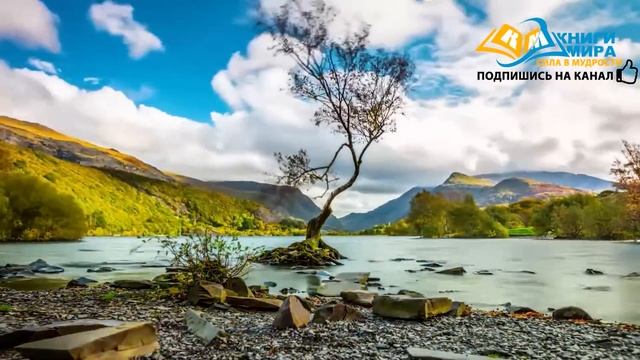 Как Стать Полностью Удовлетворенным Жизнью и Свободным От Проблем?! l Никошо и Джидду Кришнамурти смотреть онлайн