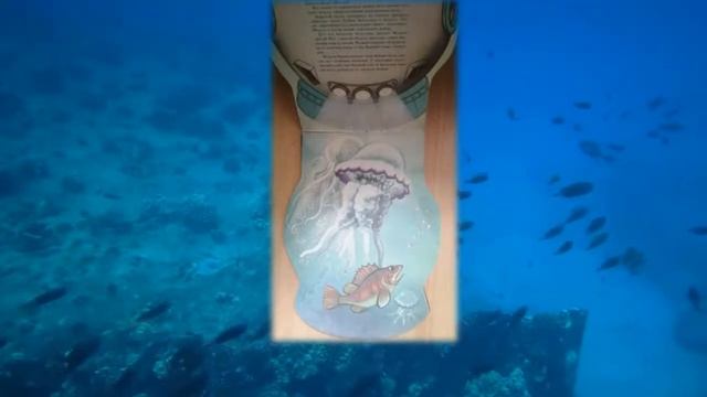 29 июля: Мастер-класс «Любимое блюдо сыщика». Чтение рассказа «Батискаф» смотреть онлайн