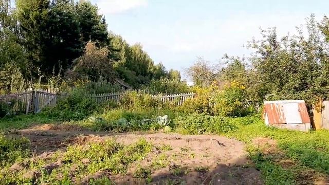 КУПИЛИ ДАЧУ // НАШ ОБЗОР // ПРИБИРАЕМСЯ #дача # влог смотреть онлайн