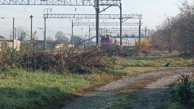 ""Утренний Москвич"" Электровоз ЭП1М-636 с пассажирским поездом №362ч Москва-Мин-Воды-Нальчик смотреть онлайн
