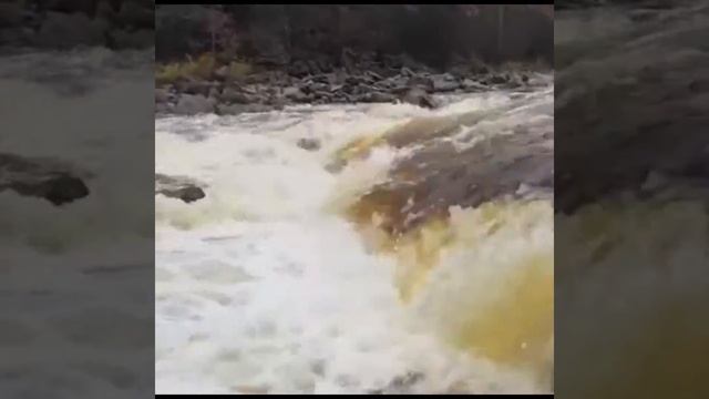 Солар 470 стрела джет + Mercury 40 MH TMC смотреть онлайн