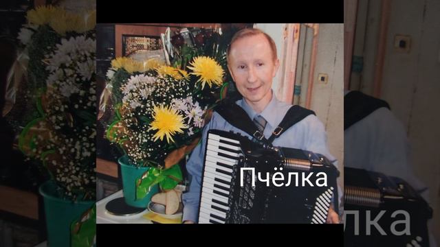 ПЧЁЛКА Франц Шуберт смотреть онлайн