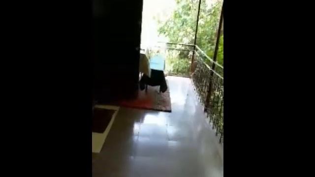 2-ЭТАЖНАЯ ДАЧА 60 М.КВ. НА З/У 7 СОТ, Р-Н Х. ДЖАНХОТ, ГЕЛЕНДЖИК 8-938-521-10-10 смотреть онлайн