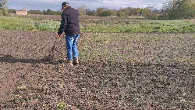 Кристина раздобыла мне красоту. Борщ и крабовый салат. Закончили с огородом. смотреть онлайн