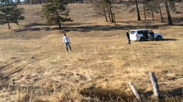 Subaru forester @uvur gunt смотреть онлайн