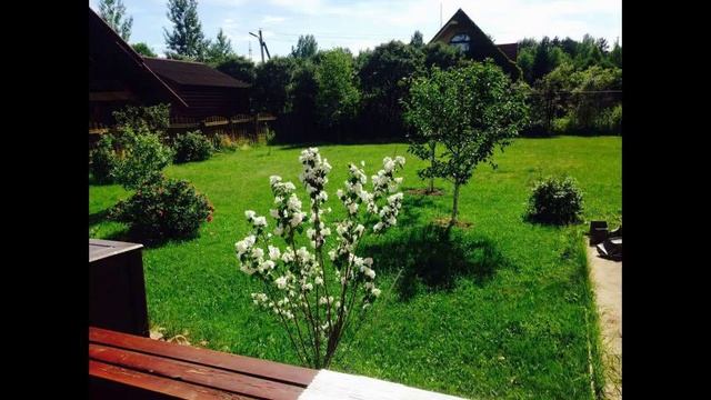 Талдомский, Дубки, продаю дом-дачу смотреть онлайн