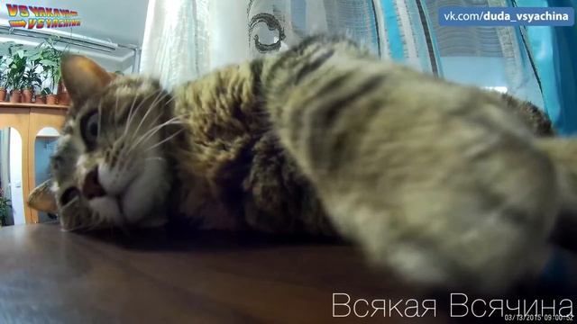 GitUp Git2 Распаковка + ТЕСТ (дневная съемка) смотреть онлайн