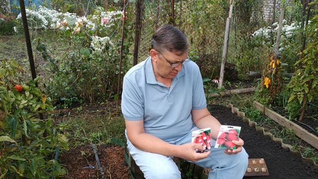 Редис летний посев в открытый грунт. смотреть онлайн