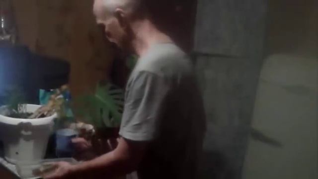 Размножение Монстеры (опыт новичка) смотреть онлайн