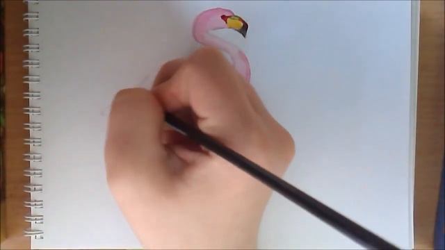 Как нарисовать фламинго смотреть онлайн