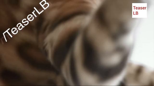 Реклама Perfect Fit 2015 | Перфект Фит смотреть онлайн