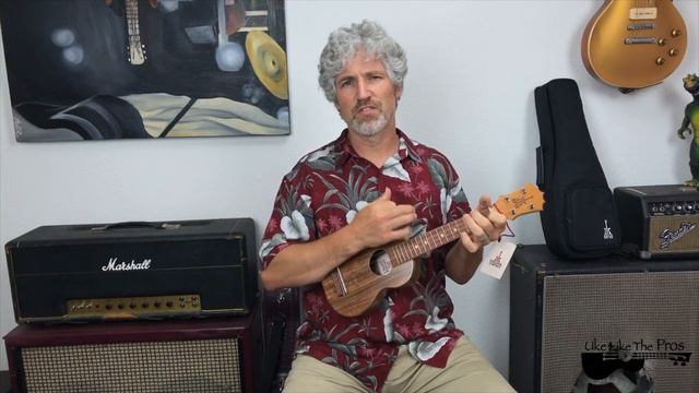 Learning To Fly Tom Petty Ukulele Cover смотреть онлайн