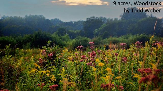 Art of the Land Photo Contest 2014 смотреть онлайн