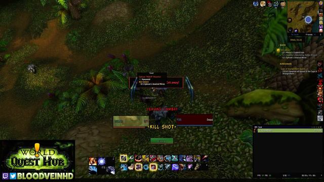 Kill Collect | WoW Quest Guide смотреть онлайн