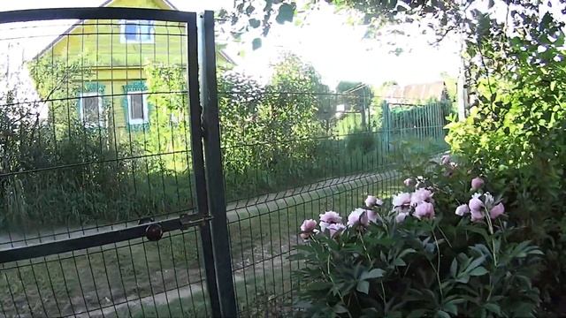 Мне срочно нужна лестница Спасаю Марусю Отзывчивый сосед смотреть онлайн