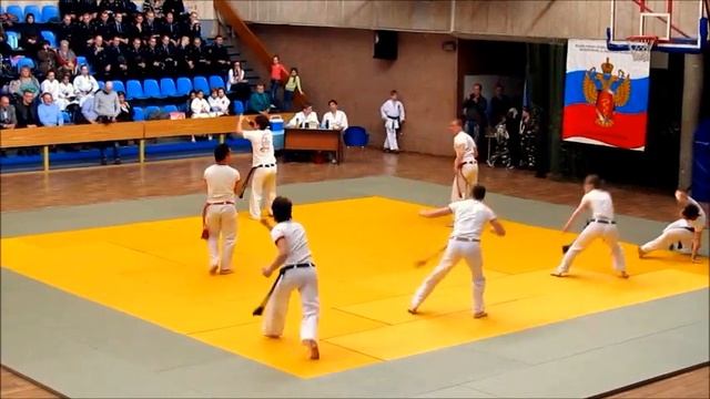 А.Г.Огнивцев НСНБР. Парад боевых искусств. 10 лет ФСКН России. 2013. Фрагмент Капоэйра. смотреть онлайн