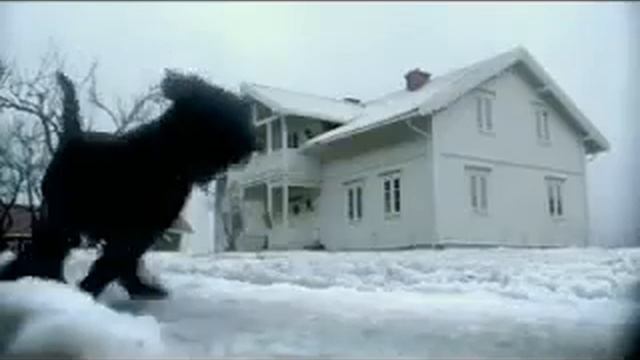 Реклама собака смотреть онлайн