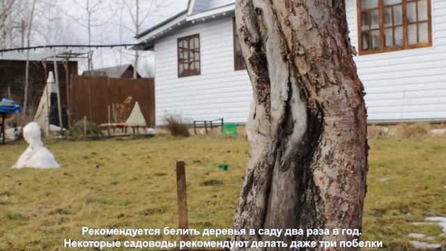 Побелка деревьев Первый опыт смотреть онлайн