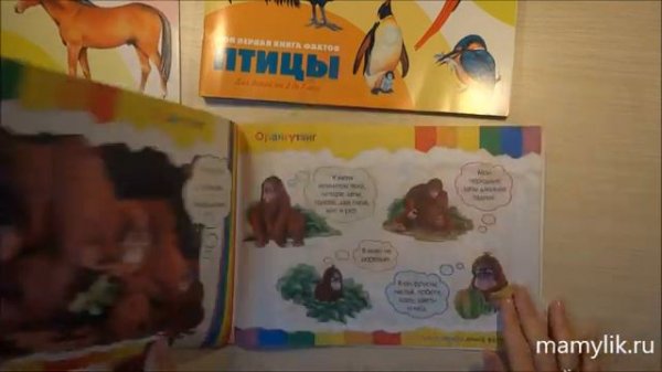 Моя первая книга фактов. Серия книг. ND Play