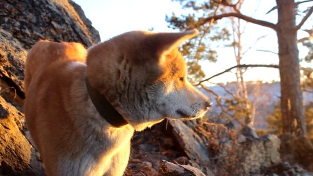 Забайкальский край