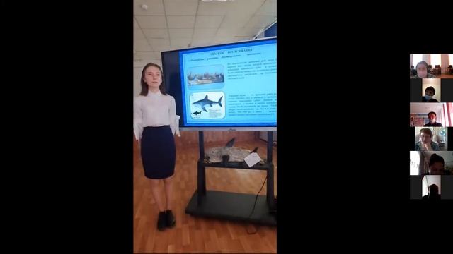 Видео 3 площадки смотреть онлайн