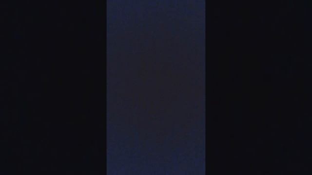 My face reveal (Yes I'm a bear bork) смотреть онлайн