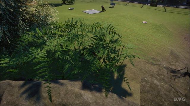 Planet Zoo - African Wild Dog Gameplay (PC HD) [1080p60FPS] смотреть онлайн
