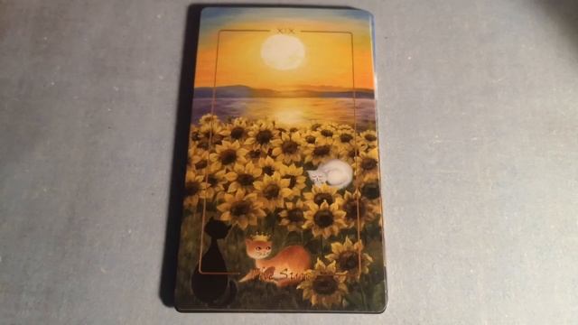 24 ОКТЯБРЯ ГОРОСКОП КАРТА ДНЯ ОТ ЛИС ФИЗАЛИС смотреть онлайн