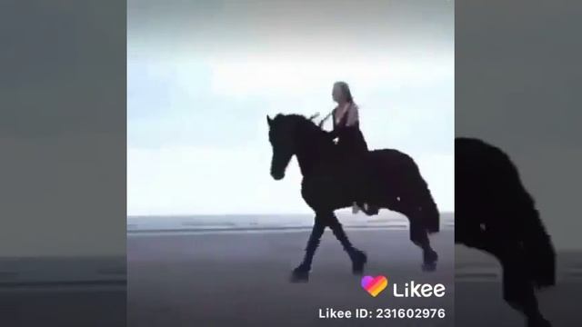 Самая дорогая лошадь в мире смотреть онлайн