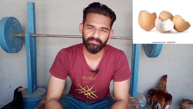 Aseel murgi ki jhool ka ilaj | jo murgi andy na day uska kya ilaj kren | murgi andy nahi day rahi смотреть онлайн