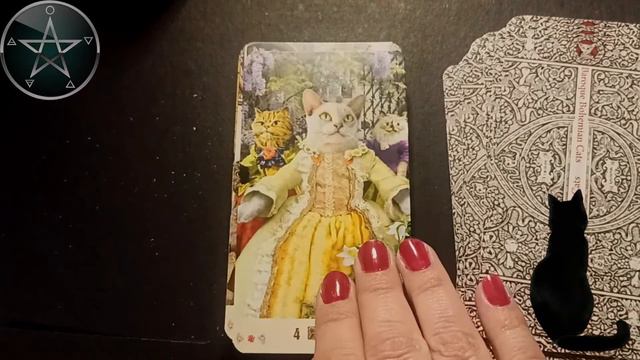 Барочные Богемские Коты смотреть онлайн