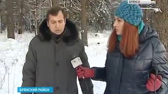 Лес в Стеклянной Радице смотреть онлайн