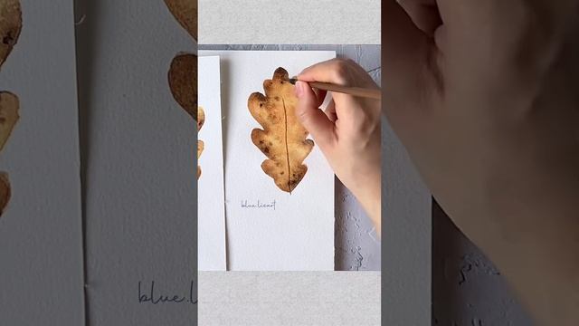 Painting a White Oak Leaf смотреть онлайн