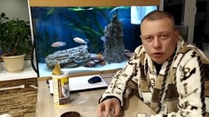 Цихлиды чем кормить малька