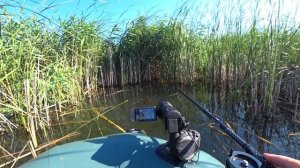 Ловля КАРПА и ЛИНЯ на ПОПЛАВОК и МОРМЫШКУ с ЛОДКИ