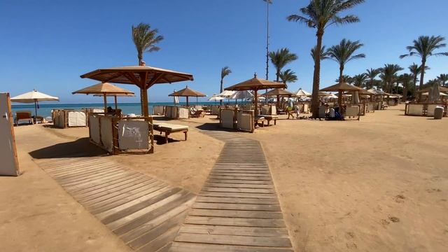 Обзор отеля Steigenberger Al Dau Beach 5* (Хургада). Premium отели Египта, какие они в 2021 году смотреть онлайн