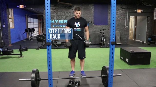 How To: Dumbbell Drag Curl | Secret Bicep Builder! смотреть онлайн